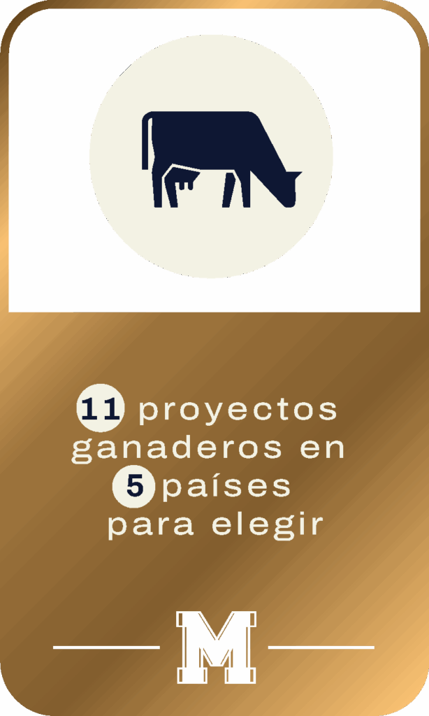 11 PROYECTOS 5 PAÍSES